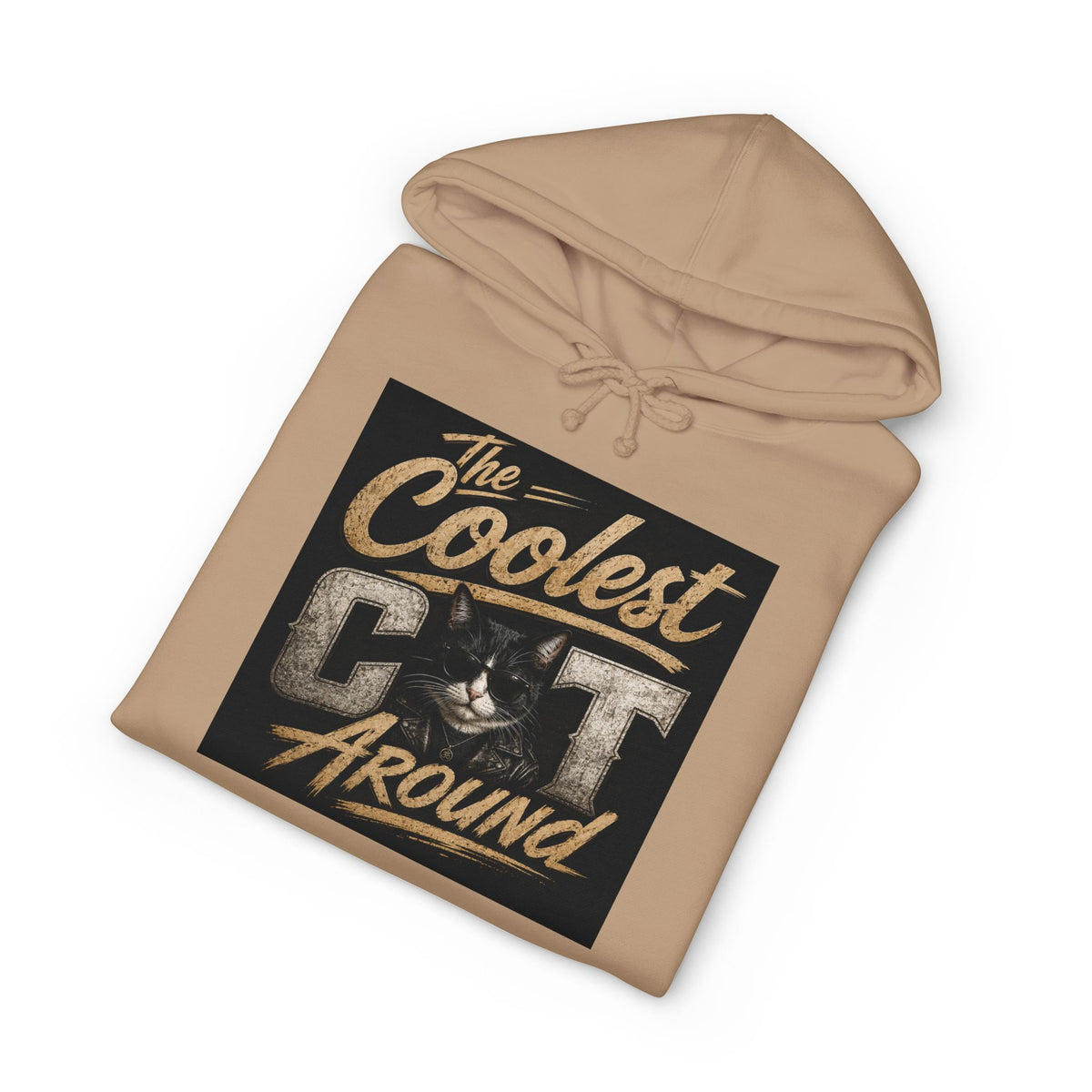 Coolest Cat Around Hoodie — Vintage Retro Cat Lover Pullover
